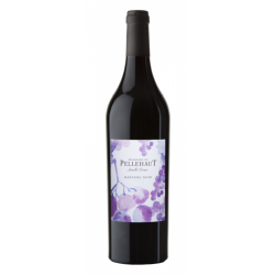 Domaine De Pellehaut Manseng Noir | French Wine